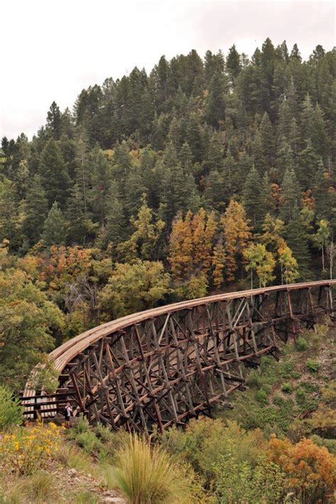Cloudcroft New Mexico Campgrounds: Best Spots for Your Next Trip