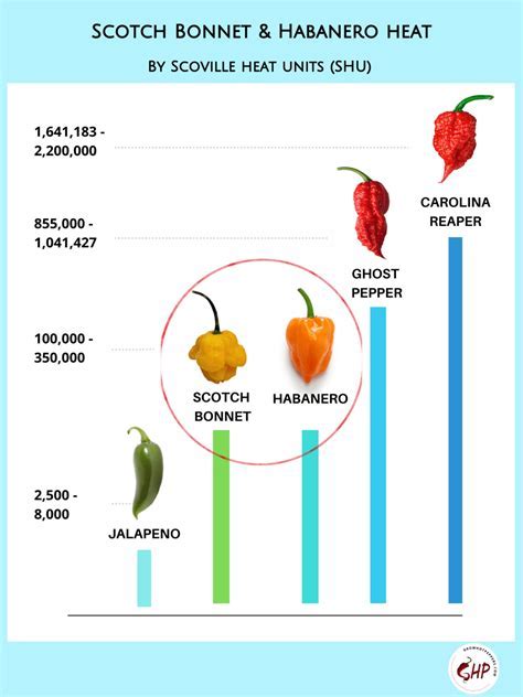 scotch bonnet pepper vs habaneroDownload it from scotch bonnet pepper ...