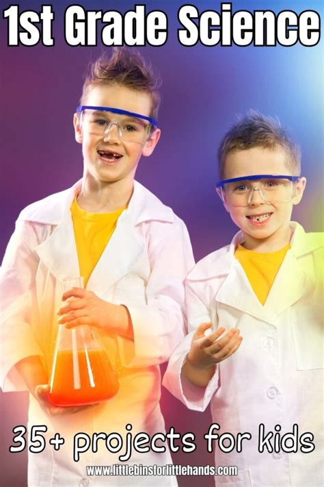 Grade 1 Science Projects 的图像结果