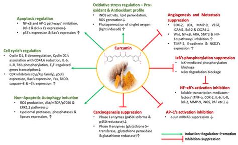 Nutraceuticals | An Open Access Journal from MDPI