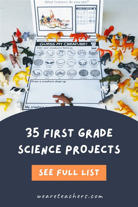 Grade 1 Science Projects 的图像结果