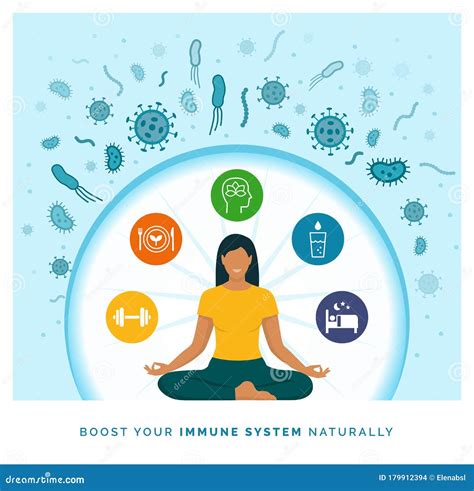 Immune System Function 的图像结果