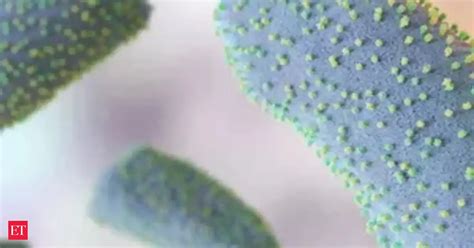 Chandipura virus: 2 more children die of suspected Chandipura virus in ...