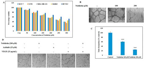 Nobiletin Inhibits Angiogenesis by Regulating Src/FAK/STAT3-Mediated ...