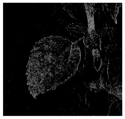 Feature Extraction Python Google 的图像结果