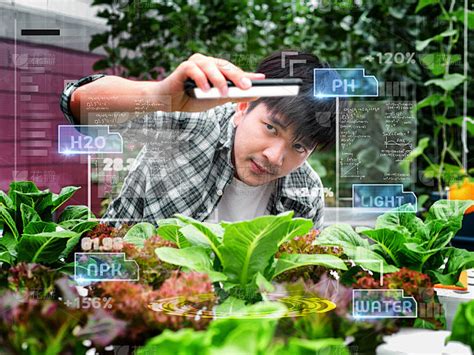 Vr农业 的图像结果