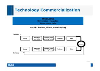 Types of Entrepreneurship 的图像结果