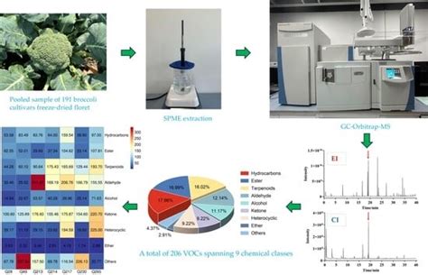 Dual-Ionization SPME-GC–HRMS Metabolomic Profiling of Broccoli ...