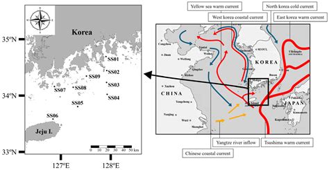Microplastic Distribution Characteristics Considering the Marine ...