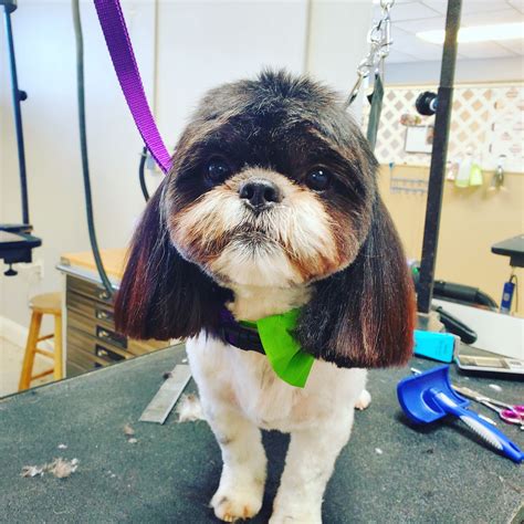 Online booking by GrooMore