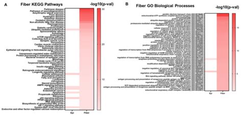 Multiomics Analysis Reveals Novel Genetic Determinants for Lens ...