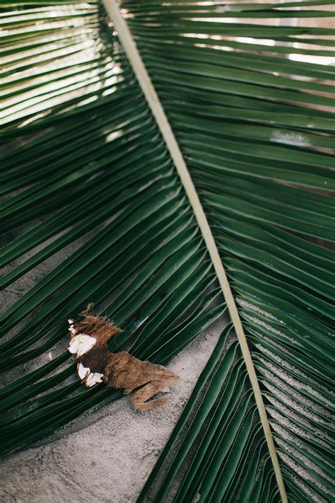 Sand Base Background 的图像结果