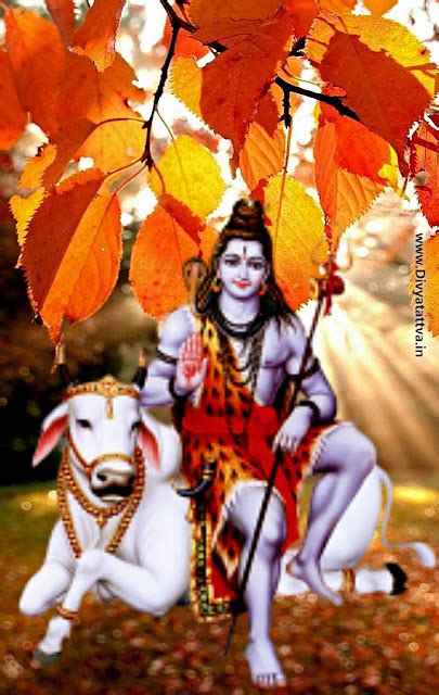 महाशिवरात्रि 4K HD Wallpapers, Shivaratri Wallpaper Lord Shiva ...
