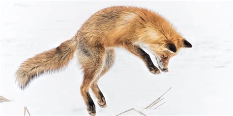 Trivia Tuesday - Jeopardy, Niagara Falls State Park, USA, 30 January ...