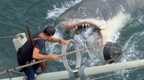 45岁的大白鲨:乔·阿尔维斯设计了鲨鱼布鲁斯并防止大白鲨下沉- 电影资讯_赢家娱乐