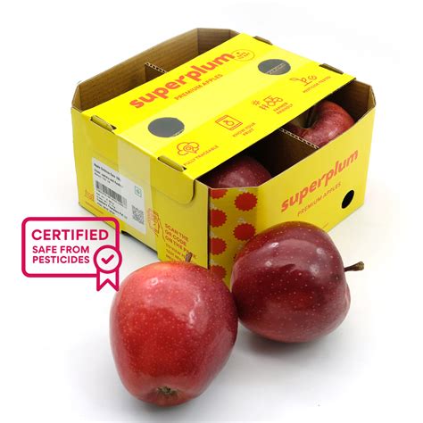 DELHI NCR — Snapping Turtles Pvt Ltd