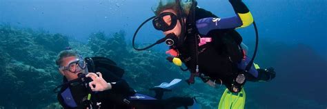 PADI Assistant Instructor | Professional diver job in India