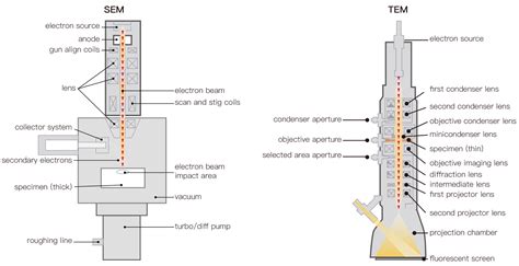 Image result for Electron Microscope Types