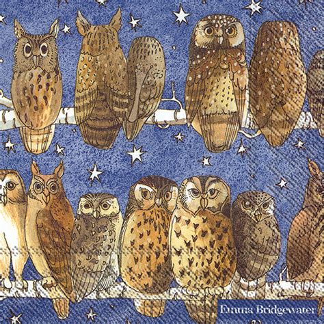 Ideal Home Range 20 Count Owls Paper Cocktail Napkins : Amazon.in: Home ...