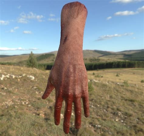 Image result for Unity VR Hand Model Free