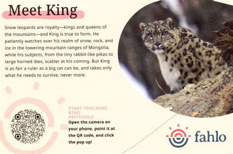 Image result for Stuffed Animals with QR Code Scanner