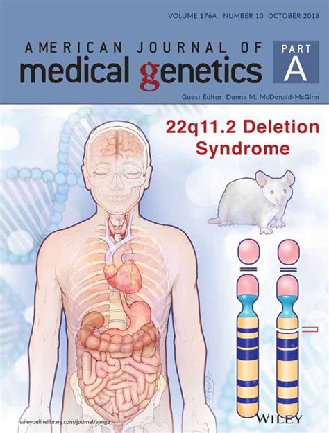 22q11 2 deletion syndrome schizophrenia