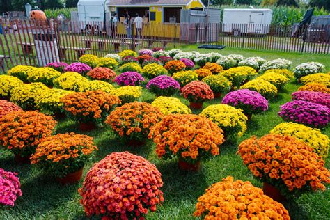 F&W Schmitt Family Farm - Melville, Long Island NY Completed