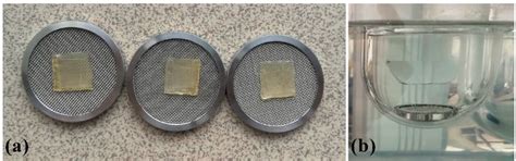 Mucoadhesive Gelatin Buccal Films with Propranolol Hydrochloride ...