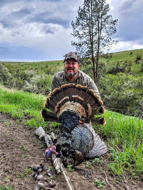 Gallery | Boulder Creek Outfitters