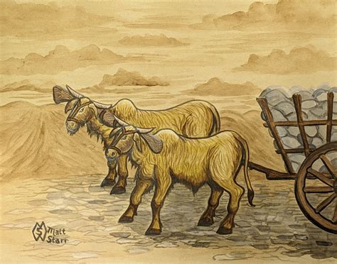 How Does An Oxen Yoke Work at Steven Waddy blog