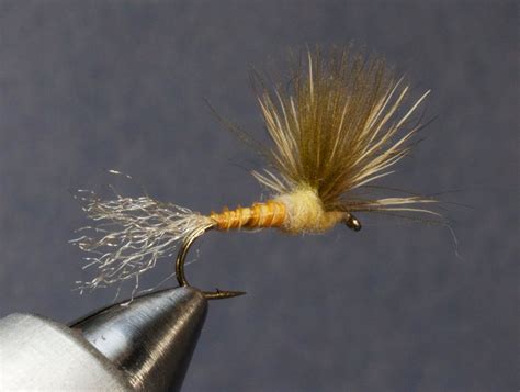 Image result for Emerger Fly Pattern