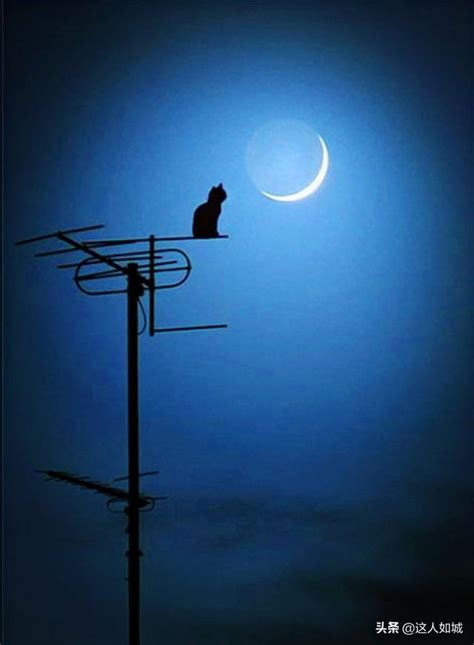 寂寞寂寞就好mp3下载寂寞寂寞就好田馥甄2022已更新今日推荐