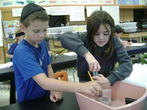 Image result for Grade 3 Science Class