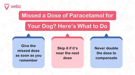 Giving Paracetamol to Dogs: Paracetamol Toxicity in Dogs