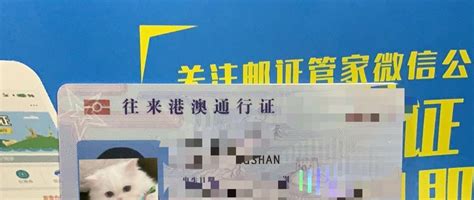 “证照联办”再深入！佛山发出广东首张“一照通”营业执照！