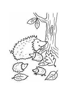 igel ausmalbilder zum drucken kostenlos kostenlose ausmalbilder und malvorlagen igel zum ausmalen igel ausmalbilder zum drucken kostenlos kostenlose ausmalbilder und malvorlagen igel zum ausmalen