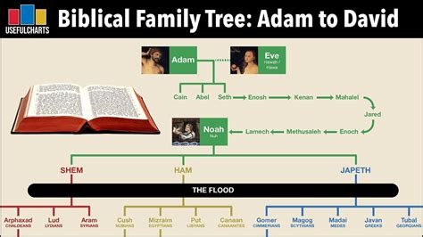 Biblical Family Tree | Adam & Eve to King David in 2021 | Family tree ...