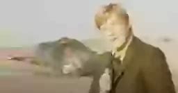 Exploding Whale Australia 的图像结果