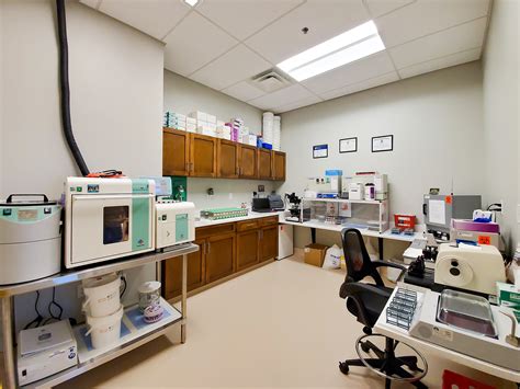 South Lake Gastro - Schmid Construction