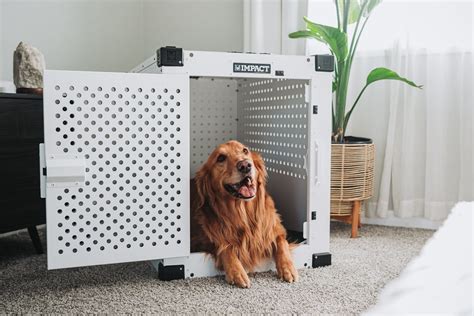 IMPACT Dog Crates – Built for Protection