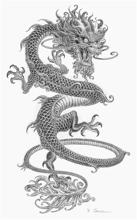 How To Draw A Chinese Dragon Easy - 997547 Tonyzheng Chinese Dragon ...