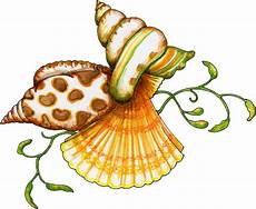 Seashell Clipart by Seashell Clip Borders Free Clipart Panda Free Seashell Clipart