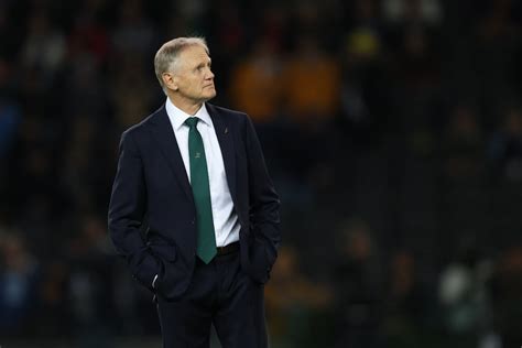 Too many fans forget Joe Schmidt’s selfless efforts in bringing ...