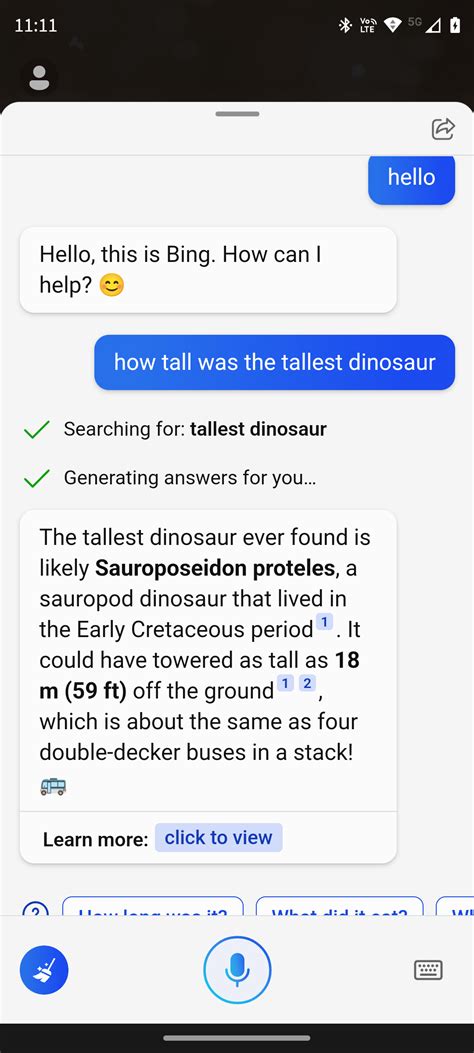 Bing Chat Voice Search 的图像结果