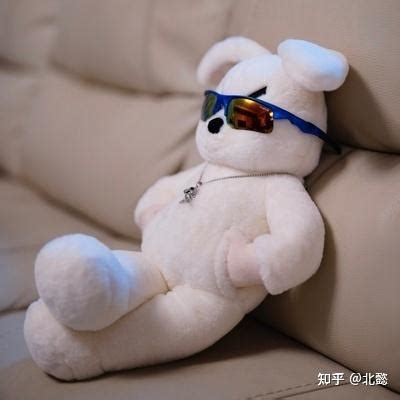 最高卖出19万美元，熊凭什么制霸毛绒玩具界？ | CBNData