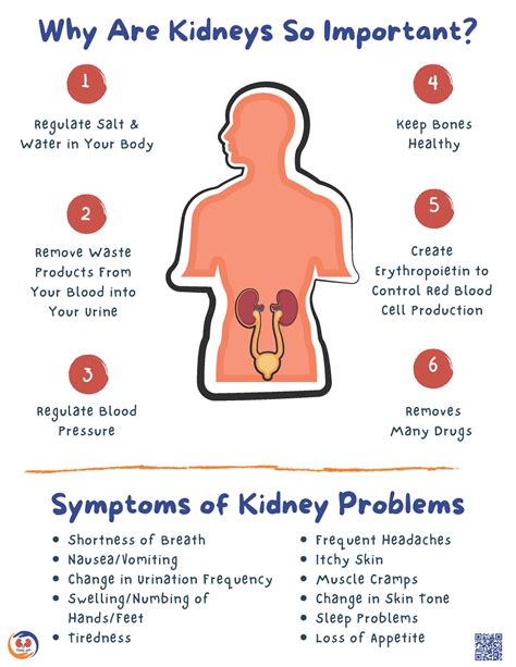 COPE-AKISTUDY.PITT.EDU – acute kidney injury