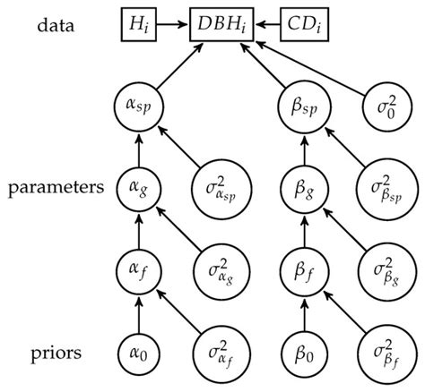 A Comparative Assessment of the Performance of Individual Tree Crowns ...