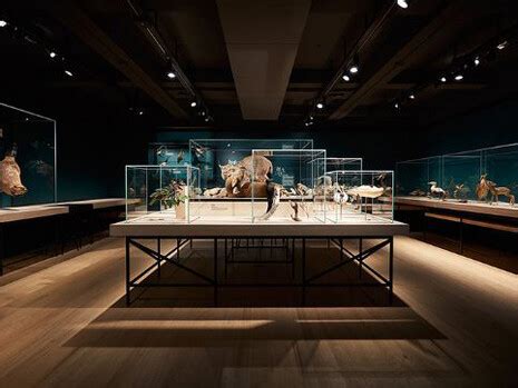 Nature Showcase | Meer
