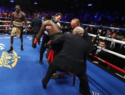 Quick Wilder's crackdown on Stiverne in photos – RingSide24