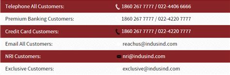 IndusInd Bank - Video Conference